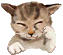 HRSMQQWKCC7NBSYQCKQL2VVC7WDJXHV5.gif (12340 bytes)